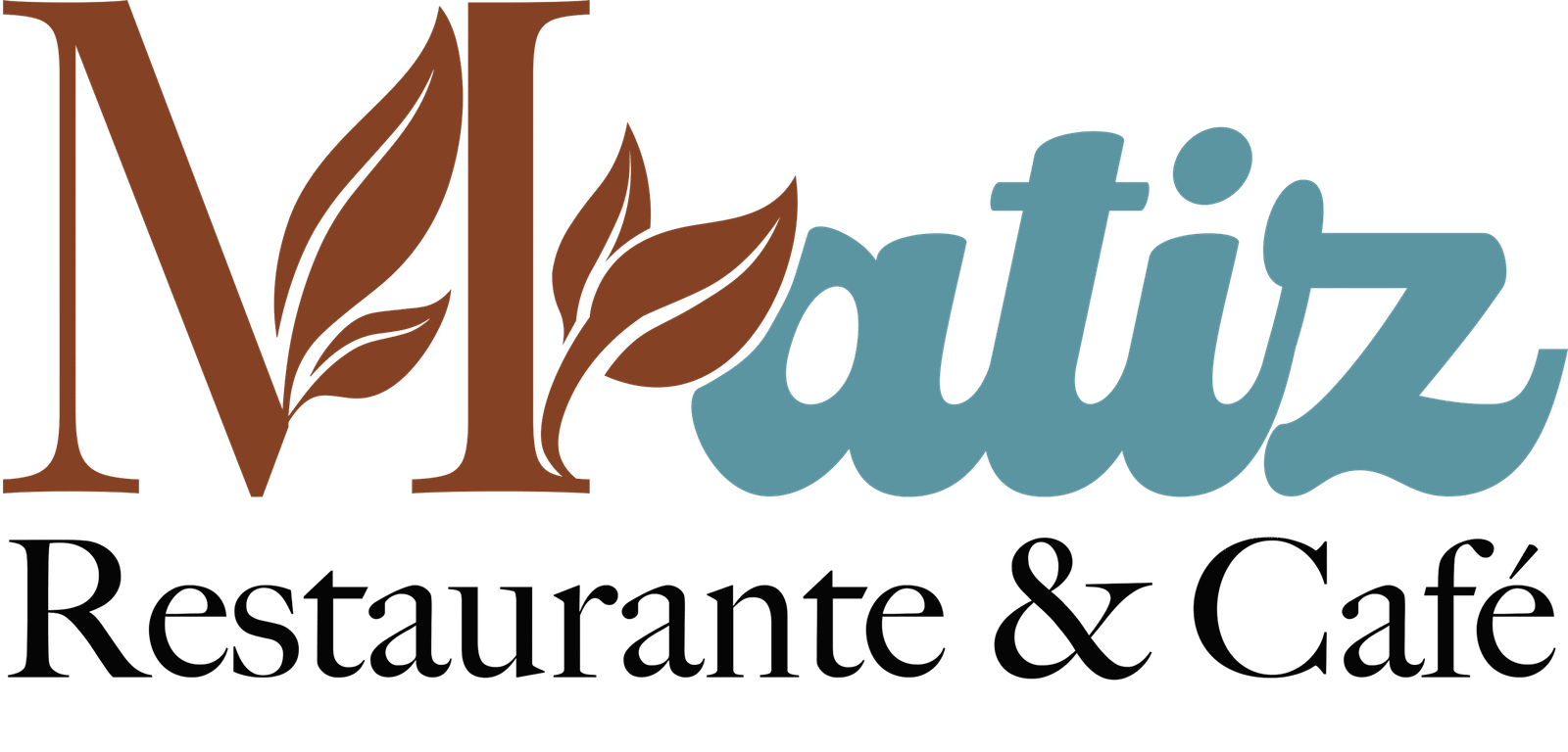 Matiz Logo Color